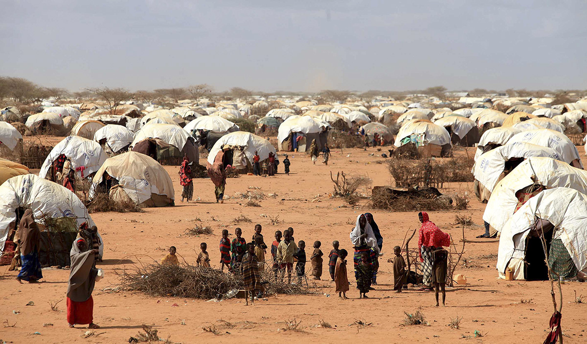 Afrikada temel çevre sorunları Afrikada temel çevre sorunları